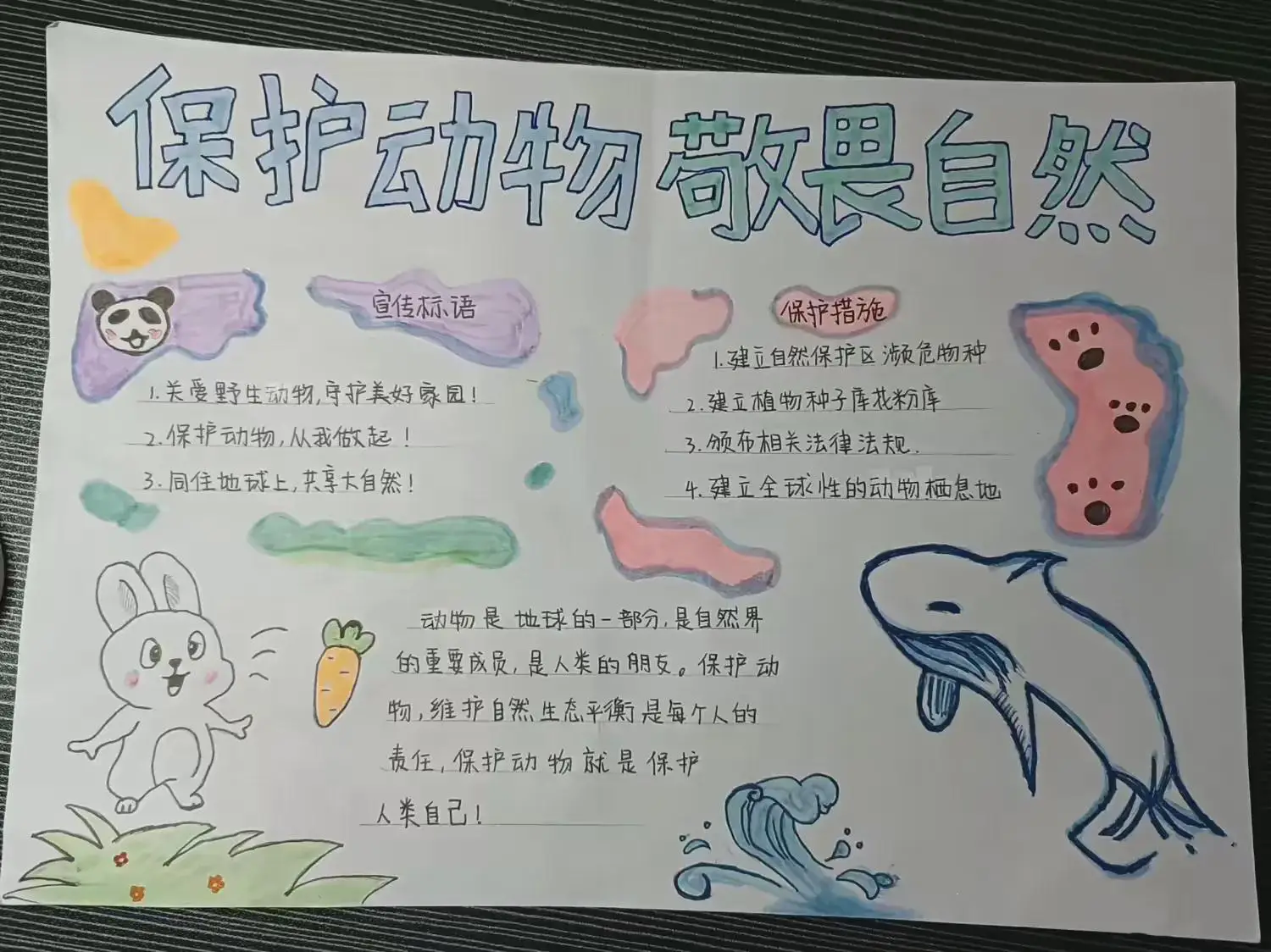 为什么称海獭是生态建筑师?...