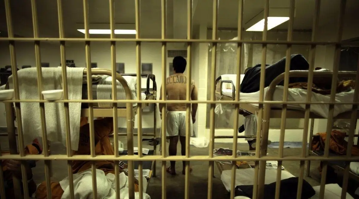 荷兰监狱为什么会闹“犯人荒”?...