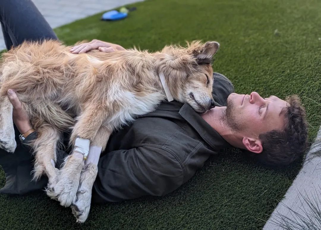 动物也会伤心难过吗? 你可能不会相信...