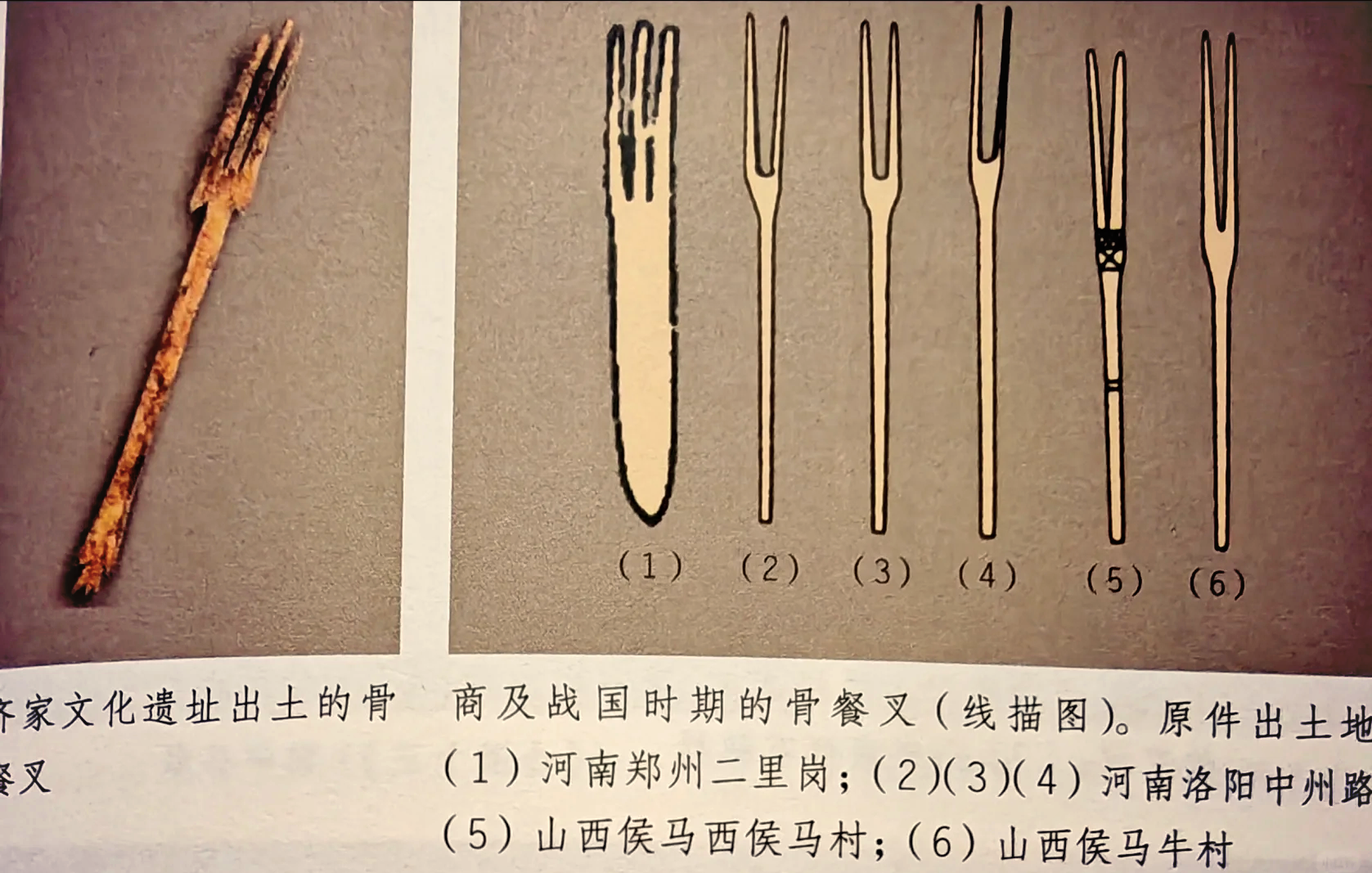 为什么中国人用筷子,西方人用刀叉?...