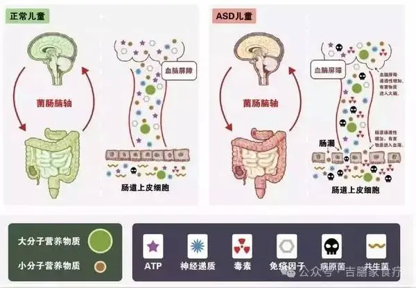 体内微生物:“人类第二基因组”...