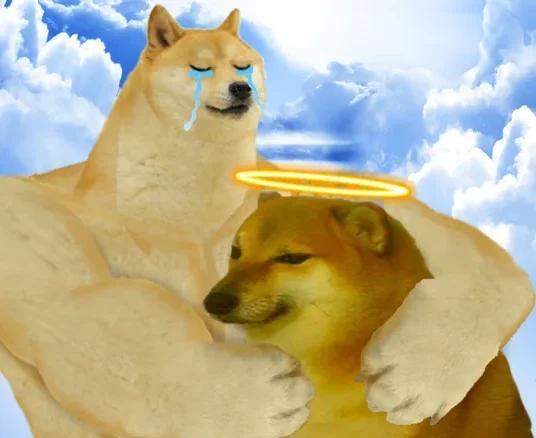 动物也会伤心难过吗? 你可能不会相信...