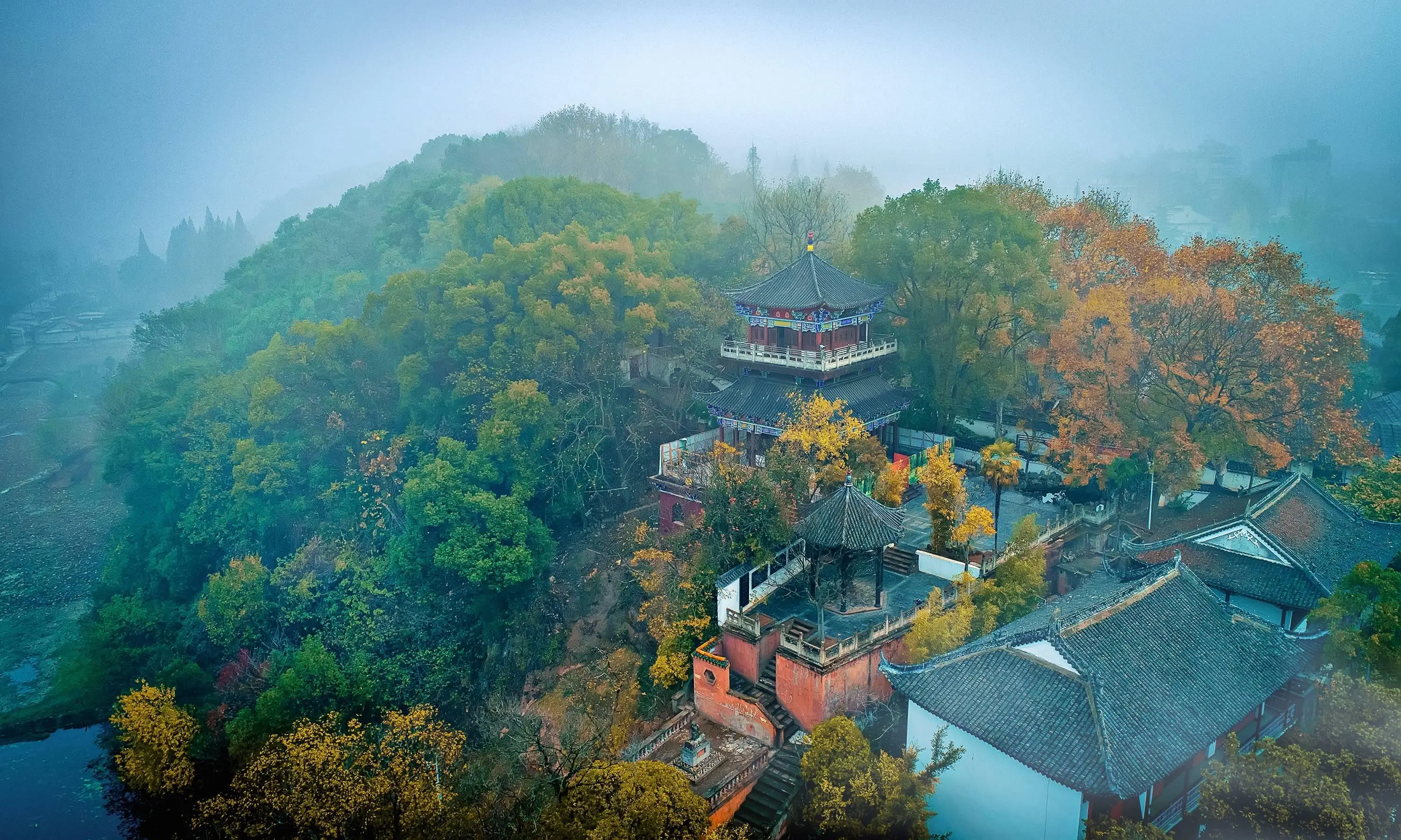 武汉茶文化论坛到底有什么看头?