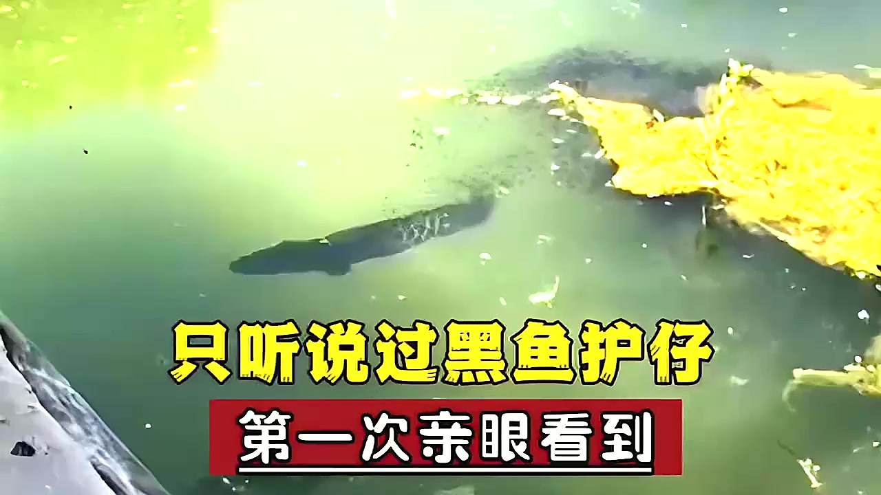 从历史中发现中国奇迹的根源,“每代人都要重写历史”...