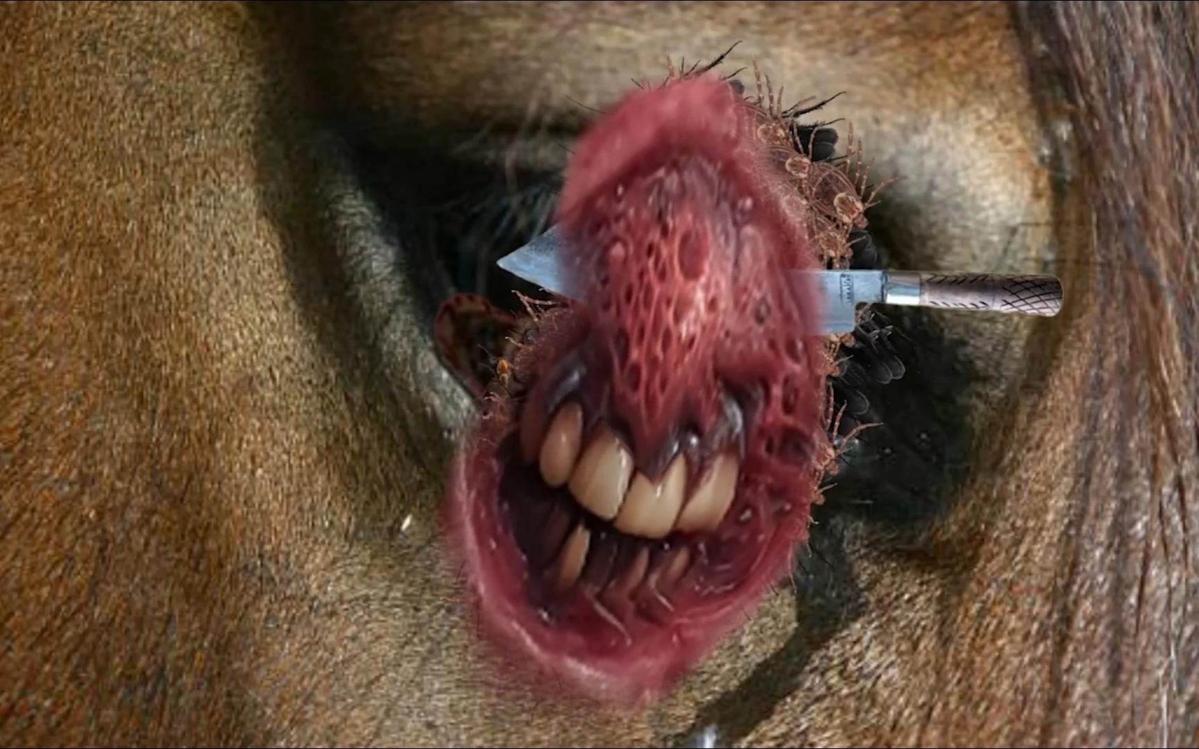 近日数据统计显示:马眼棒使用方法及注意事项:如何正确使用马眼棒才能确保安全舒适?