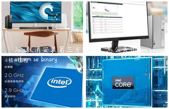 Java取消安装第三方程式_怎么关闭java platform se binary