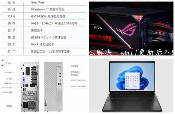 更新Win11后连不上Wifi怎么解决_win11更新后不能上网