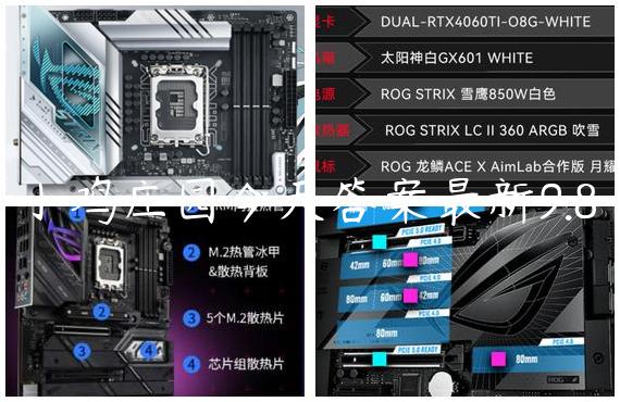 小鸡庄园今天答案最新9.8