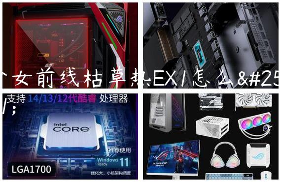 少女前线枯草热EX1怎么打