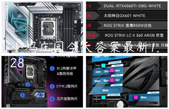 小鸡庄园今天答案最新1.28